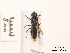  ( - BCA0832)  @11 [ ] CC-BY-NC (2021) ARTHROPOLOGIA ARTHROPOLOGIA