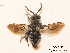  ( - BCA0833)  @11 [ ] CC-BY-NC (2021) ARTHROPOLOGIA ARTHROPOLOGIA