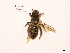  ( - BCA0839)  @11 [ ] CC-BY-NC (2021) ARTHROPOLOGIA ARTHROPOLOGIA