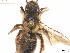 ( - BCA0839)  @11 [ ] CC-BY-NC (2021) ARTHROPOLOGIA ARTHROPOLOGIA