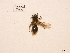  ( - BCA0840)  @11 [ ] CC-BY-NC (2021) ARTHROPOLOGIA ARTHROPOLOGIA
