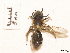  ( - BCA0840)  @11 [ ] CC-BY-NC (2021) ARTHROPOLOGIA ARTHROPOLOGIA