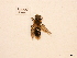  ( - BCA0842)  @11 [ ] CC-BY-NC (2021) ARTHROPOLOGIA ARTHROPOLOGIA