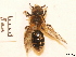  ( - BCA0842)  @11 [ ] CC-BY-NC (2021) ARTHROPOLOGIA ARTHROPOLOGIA