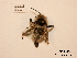  ( - BCA0858)  @11 [ ] CC-BY-NC (2021) ARTHROPOLOGIA ARTHROPOLOGIA