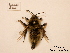  ( - BCA0859)  @11 [ ] CC-BY-NC (2021) ARTHROPOLOGIA ARTHROPOLOGIA