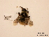 ( - BCA0860)  @11 [ ] CC-BY-NC (2021) ARTHROPOLOGIA ARTHROPOLOGIA