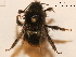  ( - BCA0890)  @11 [ ] CC-BY-NC (2021) ARTHROPOLOGIA ARTHROPOLOGIA