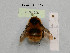  ( - BCA1020)  @11 [ ] CC-BY-NC (2022) INRAE INRAE