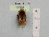  ( - BCA1021)  @11 [ ] CC-BY-NC (2022) INRAE INRAE