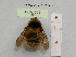  ( - BCA1028)  @11 [ ] CC-BY-NC (2022) INRAE INRAE
