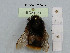  ( - BCA1051)  @11 [ ] CC-BY-NC (2022) INRAE INRAE