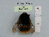  ( - BCA1053)  @11 [ ] CC-BY-NC (2022) INRAE INRAE