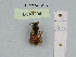  ( - BCA1059)  @11 [ ] CC-BY-NC (2022) INRAE INRAE