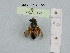  ( - BCA1062)  @11 [ ] CC-BY-NC (2022) INRAE INRAE