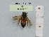  ( - BCA1063)  @11 [ ] CC-BY-NC (2022) INRAE INRAE