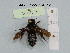  ( - BCA1065)  @11 [ ] CC-BY-NC (2022) INRAE INRAE