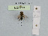  ( - BCA1068)  @11 [ ] CC-BY-NC (2022) INRAE INRAE