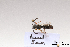  ( - BCA1367)  @11 [ ] CC-BY-NC (2022) ARTHROPOLOGIA ARTHROPOLOGIA