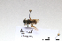  ( - BCA1372)  @11 [ ] CC-BY-NC (2022) ARTHROPOLOGIA ARTHROPOLOGIA