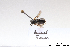  ( - BCA1382)  @11 [ ] CC-BY-NC (2022) ARTHROPOLOGIA ARTHROPOLOGIA