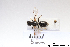  ( - BCA1385)  @11 [ ] CC-BY-NC (2022) ARTHROPOLOGIA ARTHROPOLOGIA