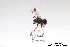  ( - BCA1389)  @11 [ ] CC-BY-NC (2022) ARTHROPOLOGIA ARTHROPOLOGIA