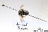  ( - BCA1389)  @11 [ ] CC-BY-NC (2022) ARTHROPOLOGIA ARTHROPOLOGIA