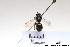  ( - BCA1390)  @11 [ ] CC-BY-NC (2022) ARTHROPOLOGIA ARTHROPOLOGIA