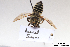 ( - BCA1394)  @11 [ ] CC-BY-NC (2022) ARTHROPOLOGIA ARTHROPOLOGIA