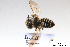  ( - BCA1394)  @11 [ ] CC-BY-NC (2022) ARTHROPOLOGIA ARTHROPOLOGIA