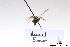  ( - BCA1400)  @11 [ ] CC-BY-NC (2022) ARTHROPOLOGIA ARTHROPOLOGIA