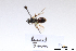  ( - BCA1400)  @11 [ ] CC-BY-NC (2022) ARTHROPOLOGIA ARTHROPOLOGIA