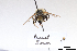  ( - BCA1402)  @11 [ ] CC-BY-NC (2022) ARTHROPOLOGIA ARTHROPOLOGIA