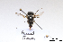  ( - BCA1403)  @11 [ ] CC-BY-NC (2022) ARTHROPOLOGIA ARTHROPOLOGIA