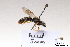  ( - BCA1421)  @11 [ ] CC-BY-NC (2022) ARTHROPOLOGIA ARTHROPOLOGIA