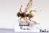  ( - BCA1428)  @11 [ ] CC-BY-NC (2022) ARTHROPOLOGIA ARTHROPOLOGIA