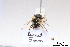  ( - BCA1437)  @11 [ ] CC-BY-NC (2022) ARTHROPOLOGIA ARTHROPOLOGIA