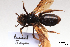  ( - BCA1441)  @11 [ ] CC-BY-NC (2022) ARTHROPOLOGIA ARTHROPOLOGIA