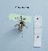  (Andrena cf. angustior - BCA1580)  @11 [ ] CC-BY-NC (2022) INRAE INRAE
