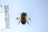  ( - BCA2301)  @11 [ ] creative common (2023) Adrien Perrard Sorbonne Universite