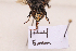  ( - BCA2185)  @11 [ ] CC-BY-NC (2023) ARTHROPOLOGIA ARTHROPOLOGIA