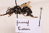  ( - BCA2185)  @11 [ ] CC-BY-NC (2023) ARTHROPOLOGIA ARTHROPOLOGIA