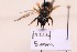  ( - BCA2189)  @11 [ ] CC-BY-NC (2023) ARTHROPOLOGIA ARTHROPOLOGIA