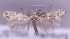  ( - MM20234)  @14 [ ] No Rights Reserved (2011) Marko Mutanen University of Oulu