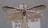  ( - MM23634)  @13 [ ] CreativeCommons - Attribution Non-Commercial (2016) Marko Mutanen University of Oulu