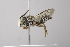  ( - 14511F11-CA)  @11 [ ] Unspecified (default): All Rights Reserved  Unspecified Unspecified