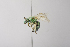  ( - 14511G05-NM)  @11 [ ] Unspecified (default): All Rights Reserved  Unspecified Unspecified