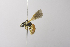  ( - 14511H04-NM)  @13 [ ] Unspecified (default): All Rights Reserved  Unspecified Unspecified
