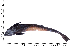  ( - COFKU33)  @11 [ ] nrr (2024) Dr. S. I. Yusufzai College of Fisheries Science, Kamdhenu University, Veraval